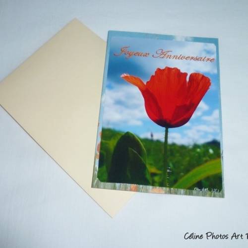 Carte Double D Anniversaire Coquelicot Tulipe Un Grand Marche