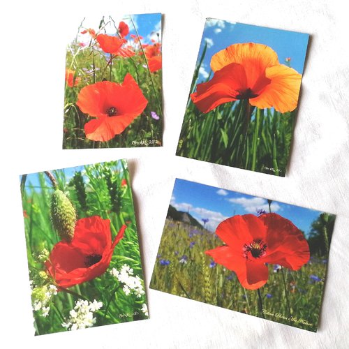 Lot De 4 Cartes Postales 10 5x15cm Avec Des Photos De Coquelicots Champ De Coquelicots Un Grand Marche