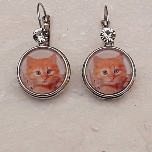 Boucles d oreilles faux strasses chats roux