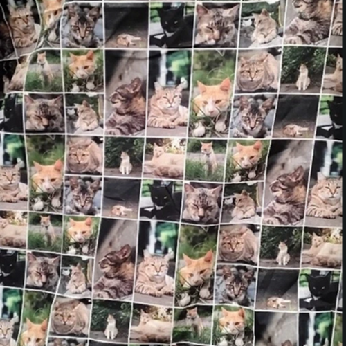 Tissu coton, chats , 140 cm/ 1 metre de haut