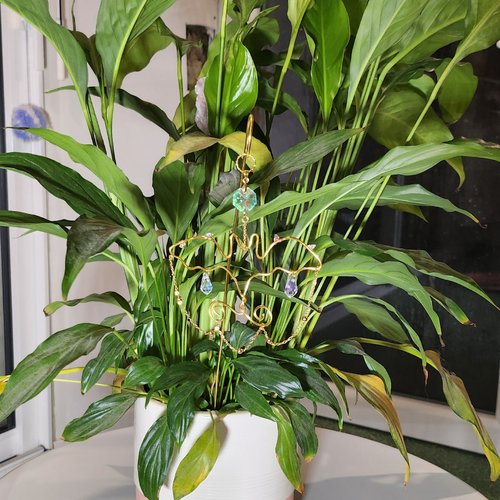 Attrape soleil chauve-souris