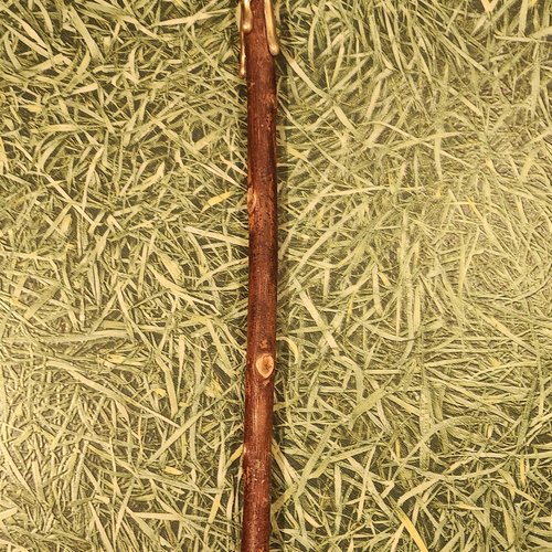 Baguette magique