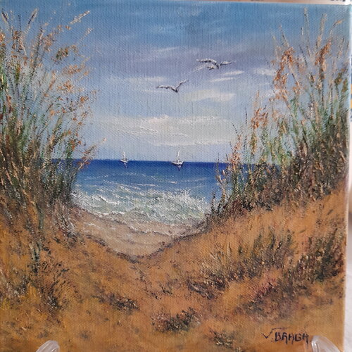 Dunes de plages