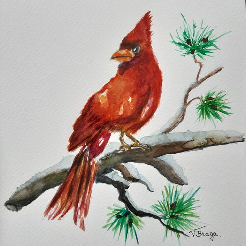 Tableau oiseau cardinal