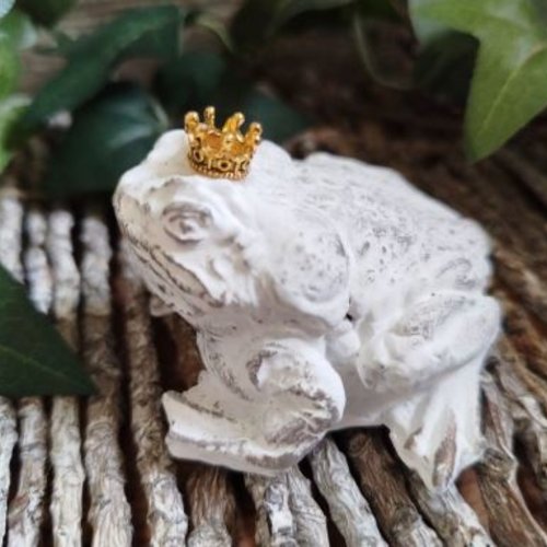 Crapaud couronné shabby