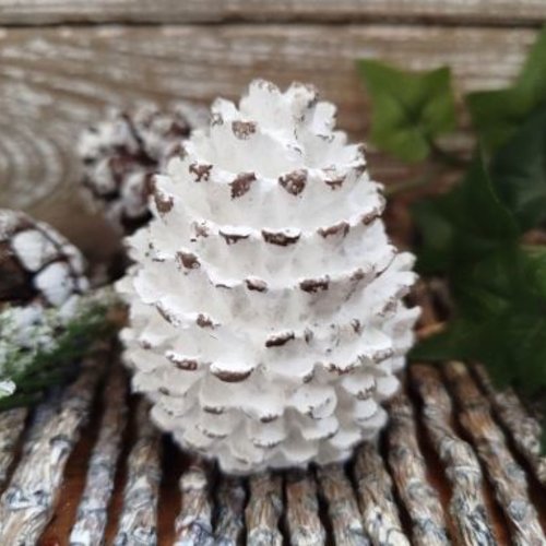 Pomme de pin shabby