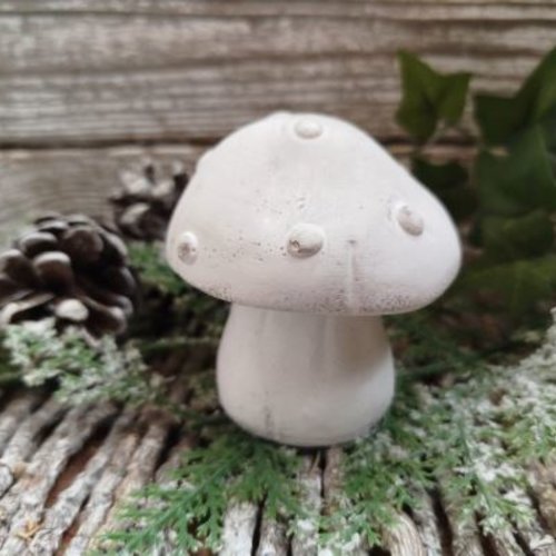 Champignon shabby