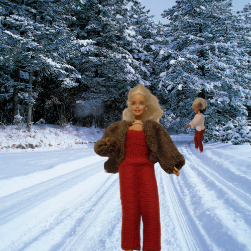 Vêtement chaud tricotée à la main pour barbie à la neige