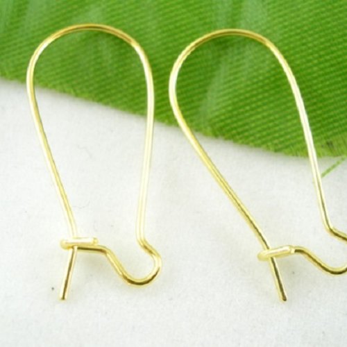 20 dormeuses 24 x 11 mm doré