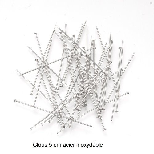 20 clous tiges acier inoxydable 5 cm à tête plate