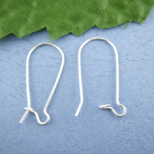 20 dormeuses 24 x 11 mm argentées