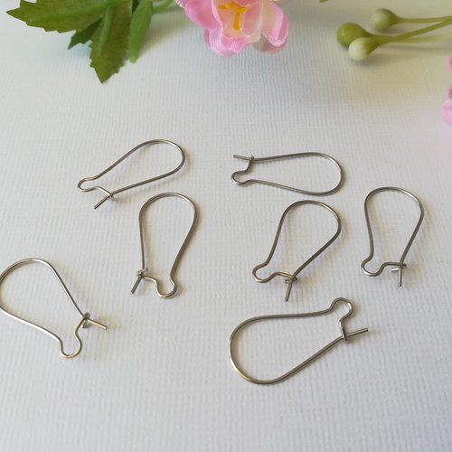 50 dormeuses 24 x 11 mm argent mat