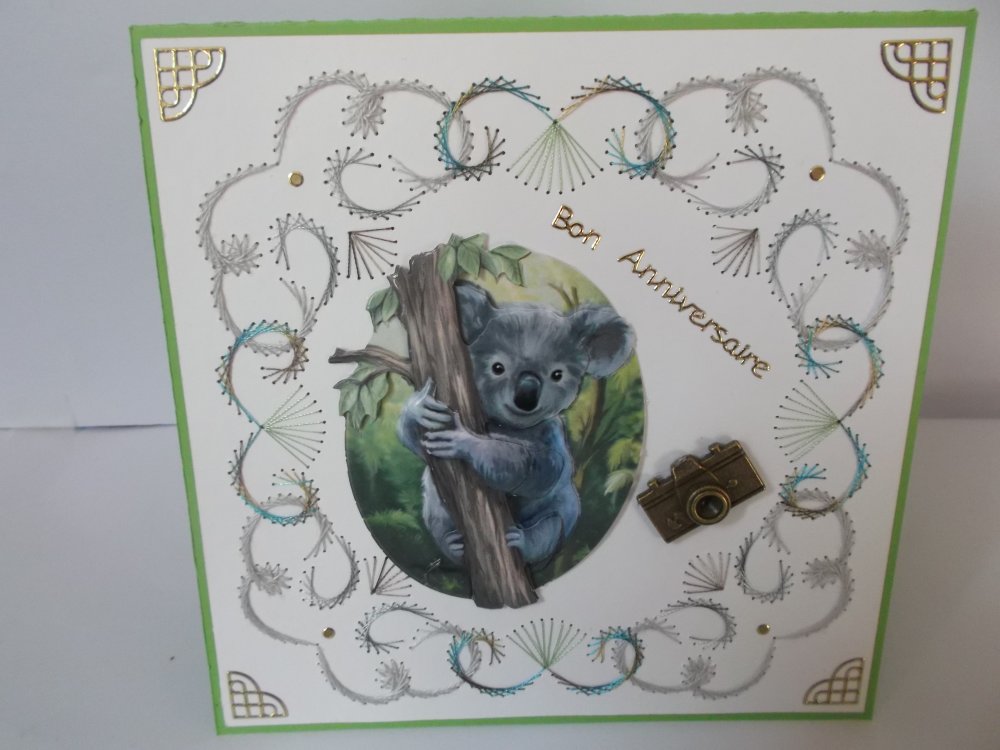 Un Adorable Koala Un Grand Marche