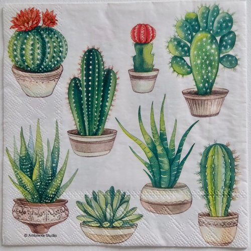 Serviette en papier cactus
