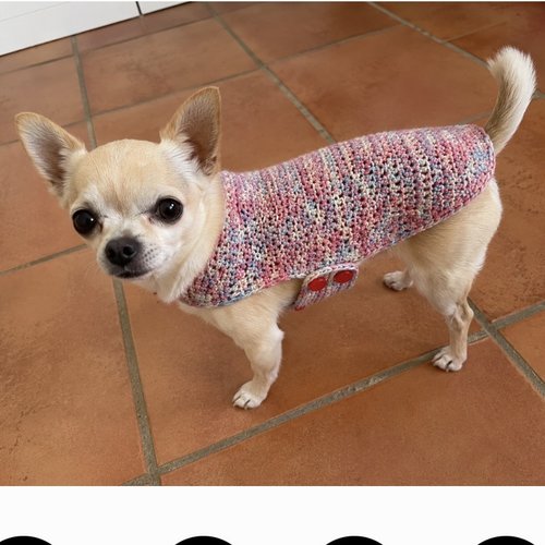 Manteau pour chien crocheté main rose, bleu ciel et argent – taille s – petit yorkshire, chihuahua, spitz nain, ...