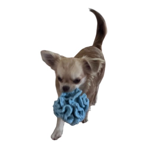 Balle de fouille (sniff ball)