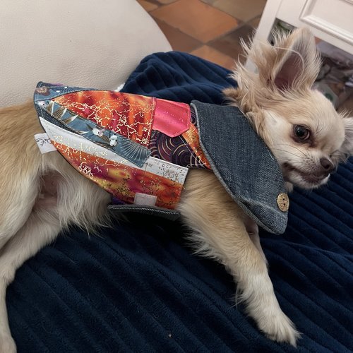Petit manteau pour chien taille s (chihuahua, petit yorkshire ou chien ayant ce type de gabarit)