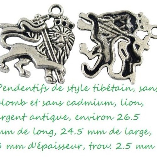 2 pendentif lion judah sans plomb sans cadmium argent antique