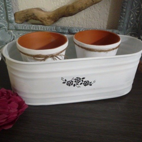 Jardinière et pots pour plantes succulentes