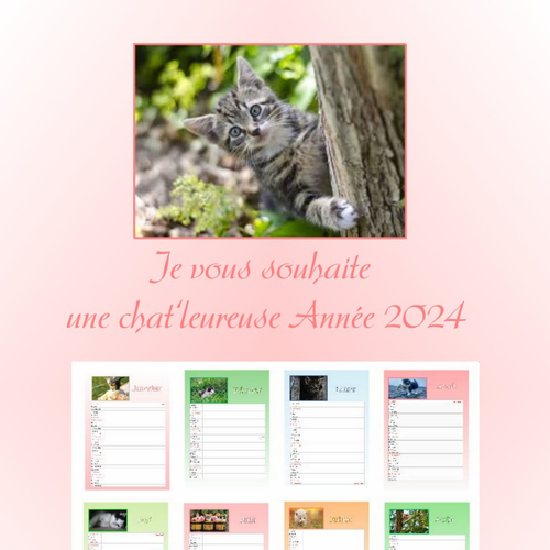 Calendrier chats 2024 à télécharger illustré 12 mois - Un grand marché