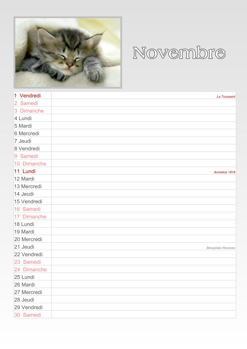 CALENDRIER LES CHATS 2024 GRAND FORMAT - REF 649.108 - Librairie