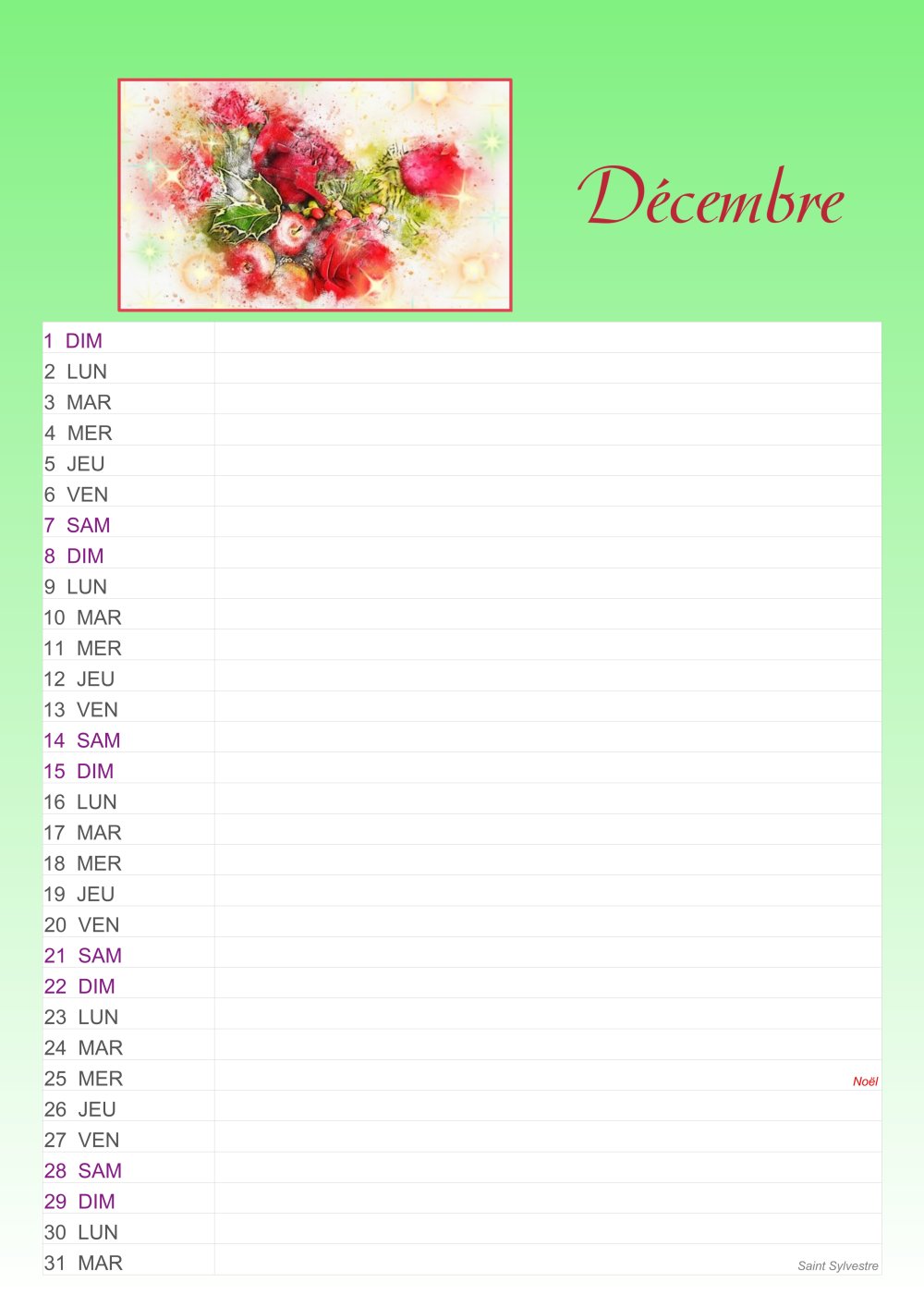 Calendrier Bloc Mensuel Mural 2024 -16x33.5cm - Fleurs et Plantes :  Coquelicots