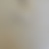 Ruban galon à paillettes couleur blanc irisé largeur 6 mm 