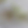 Ruban dentelle coton jour échelle couleur vert clair largeur 8 mm 