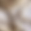 Ruban croquet serpentine, coton, couleur ecru, largeur 18 mm