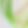 Ruban de velours couleur vert jardin d'oliviers largeur 6 mm 