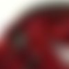 Ruban velours, métallisé, couleur rouge, largeur 15 mm 