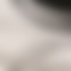 Galon mini pompons couleur blanc largeur 10 mm 