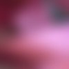 Ruban satin lurex, couleur rose vif lurex argent, largeur 24 mm