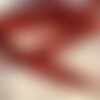 Ruban laitonné, motif zigzag, couleur rouge et noir (008), à paillettes, largeur 25 mm