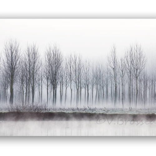 Photographie Paysage Zen Riviere Arbres Dans La Brume Matinale Artistique Photo Nature Decoration Murale Un Grand Marche