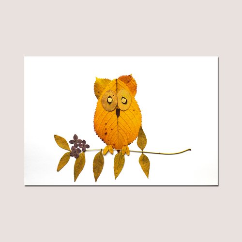 9 petites photos land-art feuilles d'automne - animaux - décoration chambre enfant