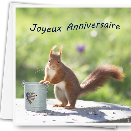 Carte Anniversaire Photo Ecureuil Et Petit Coeur Un Grand Marche