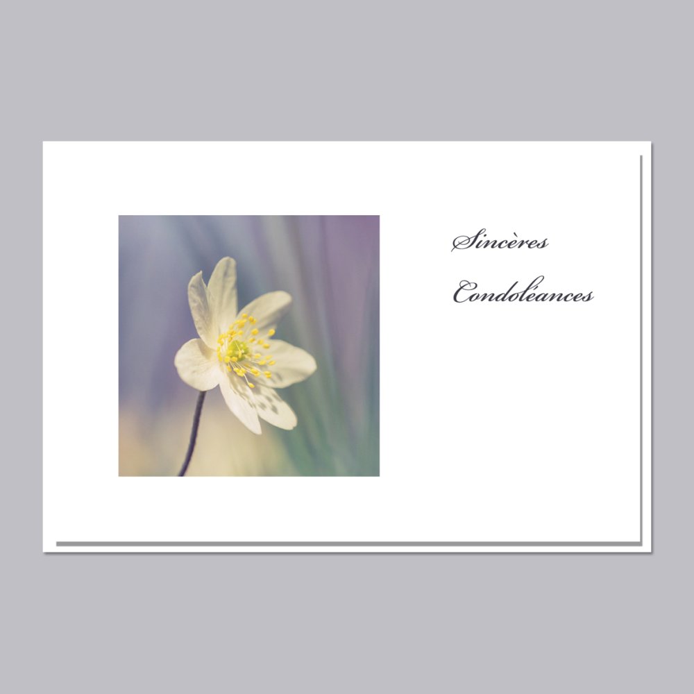 Carte De Condoleances Fait Main Photo Anemone Sylvie Deces Un Grand Marche