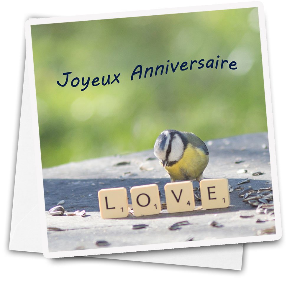 Carte Anniversaire Joyeux Anniversaire Mesange Bleue Et Love Un Grand Marche