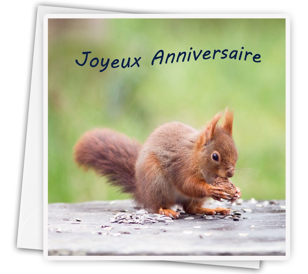 Carte De Voeux Anniversaire Joyeux Anniversaire Photo Ecureuil Et Noix Un Grand Marche