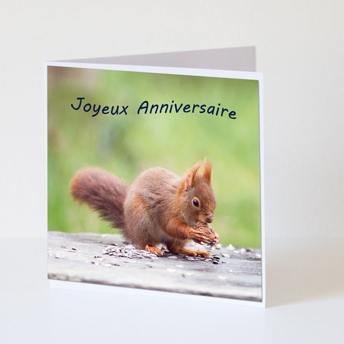 Carte De Voeux Anniversaire Joyeux Anniversaire Photo Ecureuil Et Noix Un Grand Marche