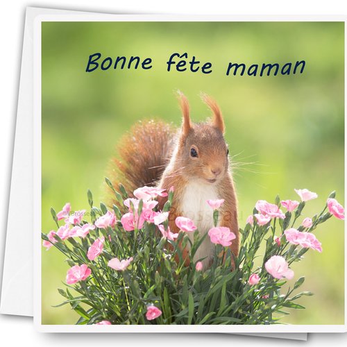 Carte Anniversaire Oiseau Et Arrosoir Carte De Voeux Joyeux Anniversaire Un Grand Marche