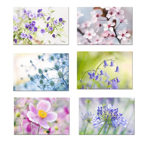 Cartes Photos Fleur Cartes Postales Anniversaire Petit Message Anniversaire Papeterie Un Grand Marche