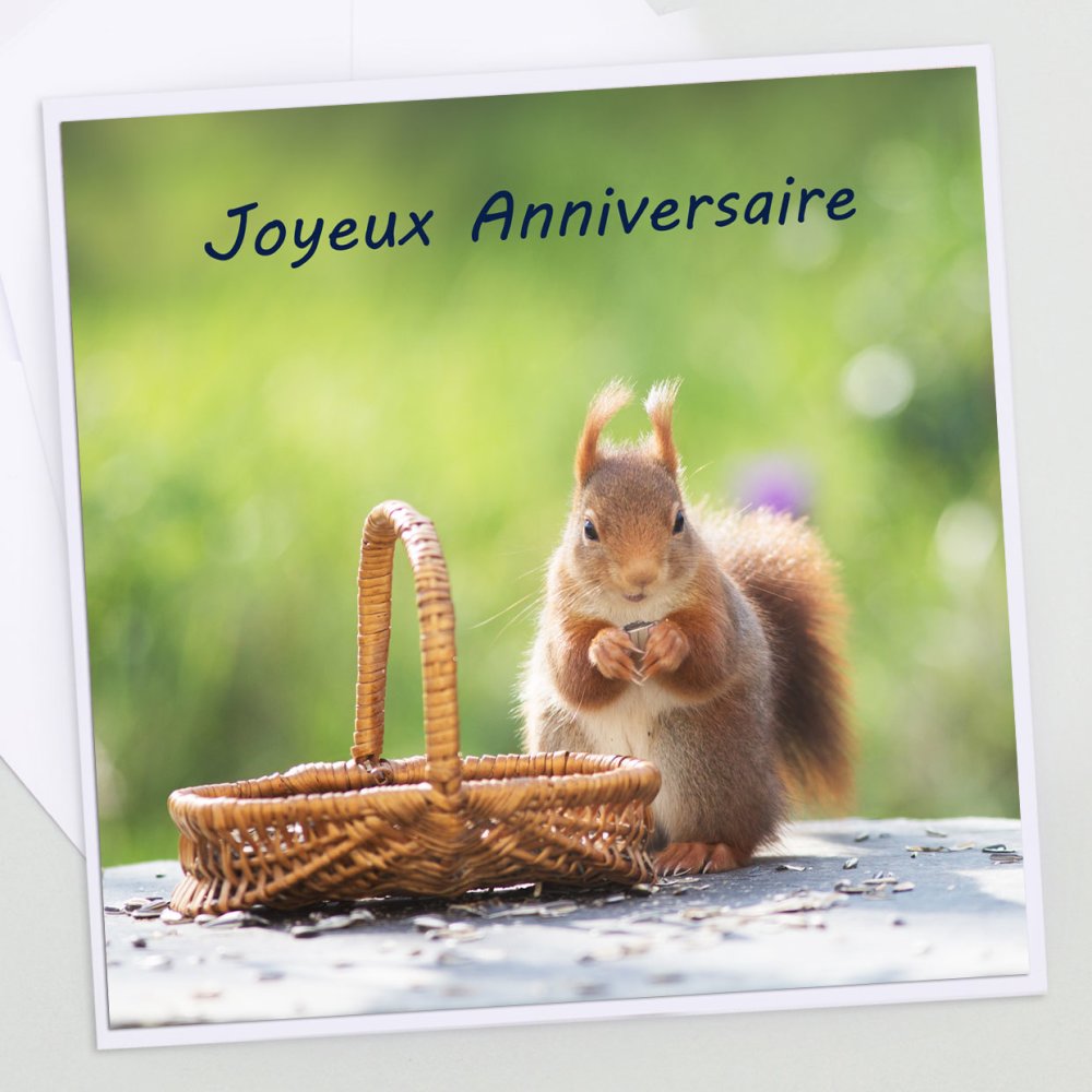 Carte Anniversaire Ecureuil Et Panier Joyeux Anniversaire Personnalisable Prenom Et Age Un Grand Marche