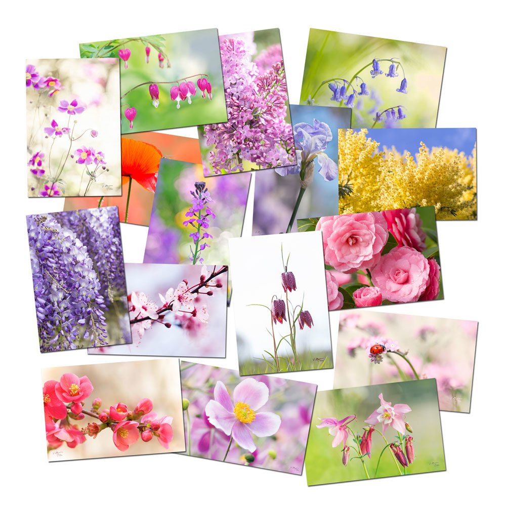 16 Cartes Postales Photos Fleurs De Printemps Cartes Fleurs Un Grand Marche