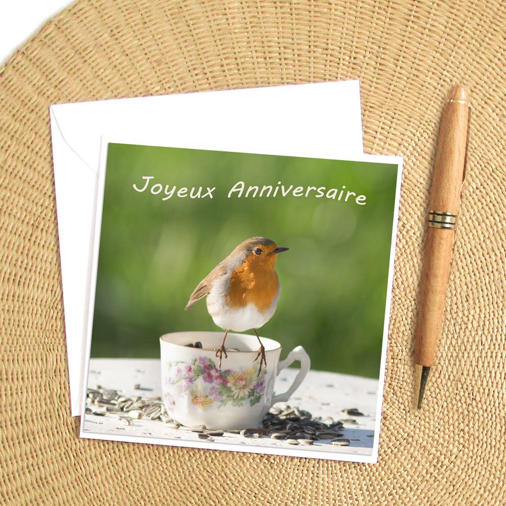 Carte Joyeux Anniversaire Rouge Gorge Photo Nature Oiseau
