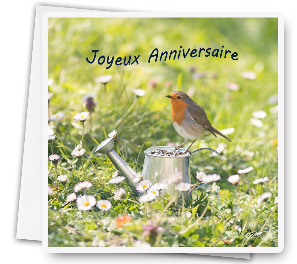 Carte Anniversaire Oiseau Et Arrosoir Carte De Voeux Joyeux Anniversaire Un Grand Marche
