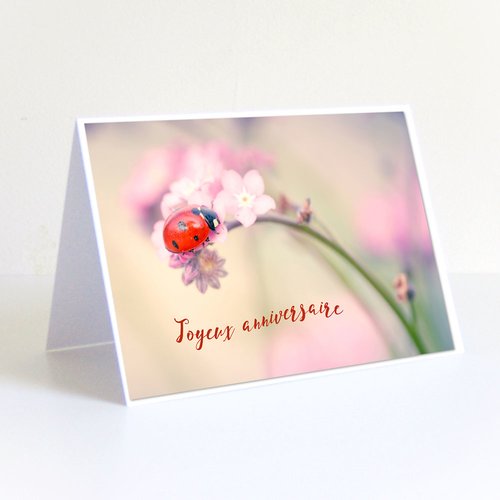 Carte Anniversaire Coccinelle Un Grand Marche