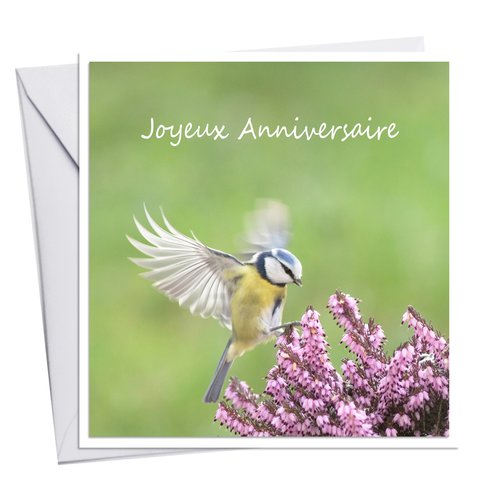 Carte Joyeux Anniversaire Oiseau Et Fleur Un Grand Marche