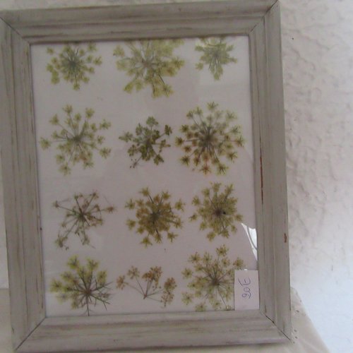 Tableau fleurs sechées - cadre herbier - fleurs séchées, herbie rmoderne